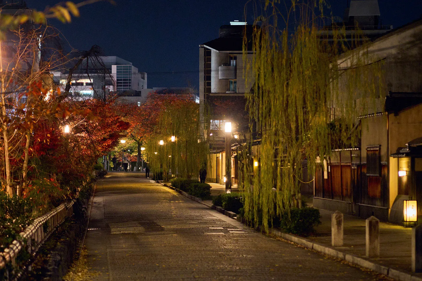 Willow-lined street in the Gion district