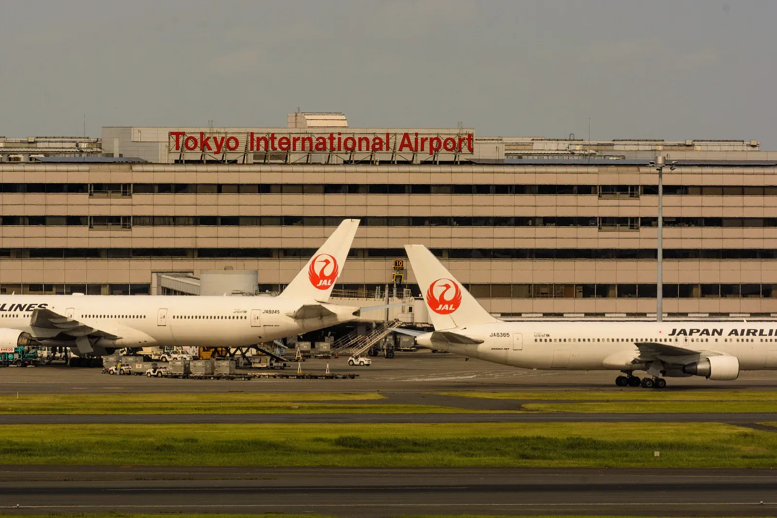Japan Airlines jets parked at the Tokyo International Airport terminal