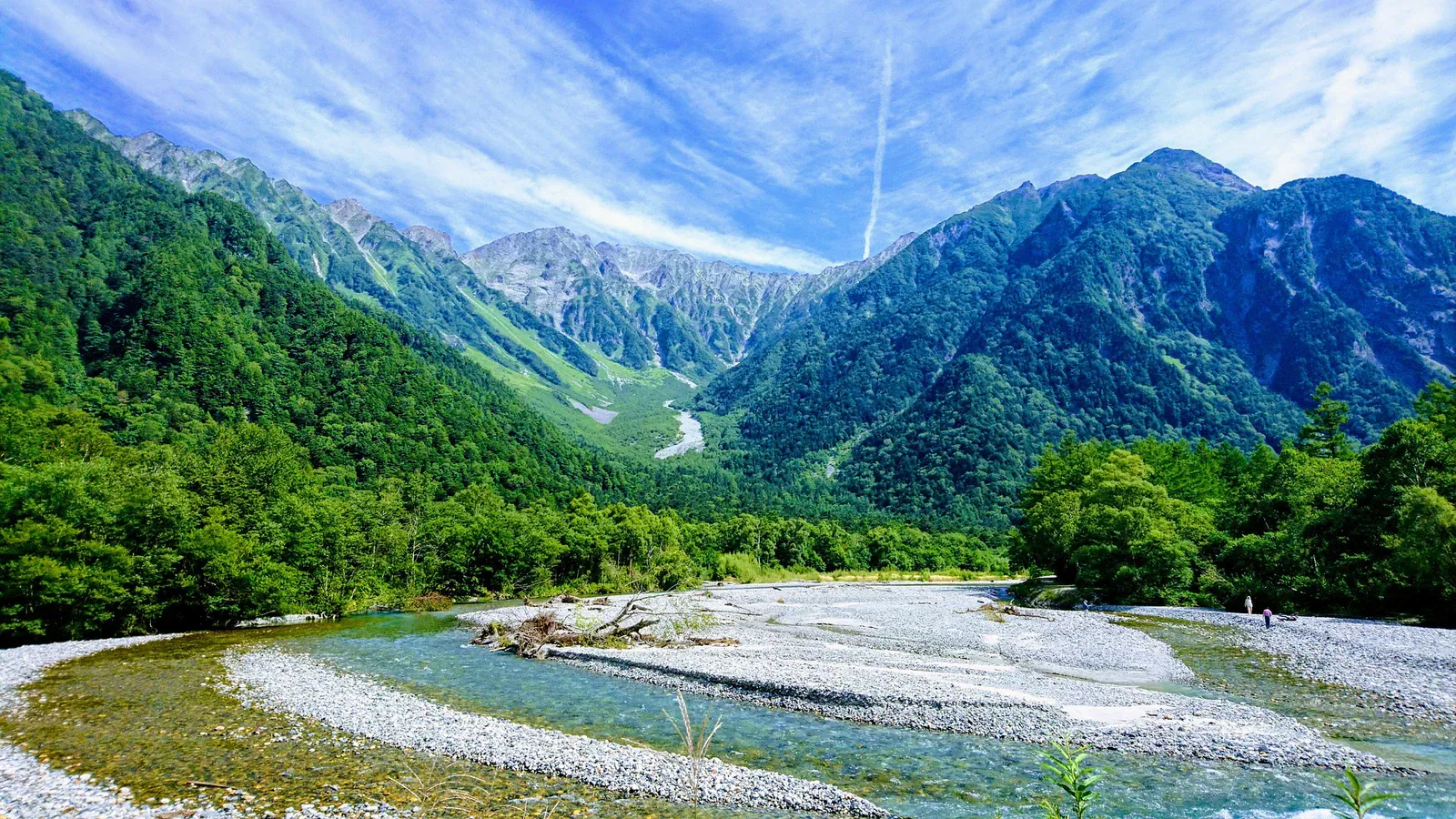 Braided river with gravel bars below forested Alps peaks