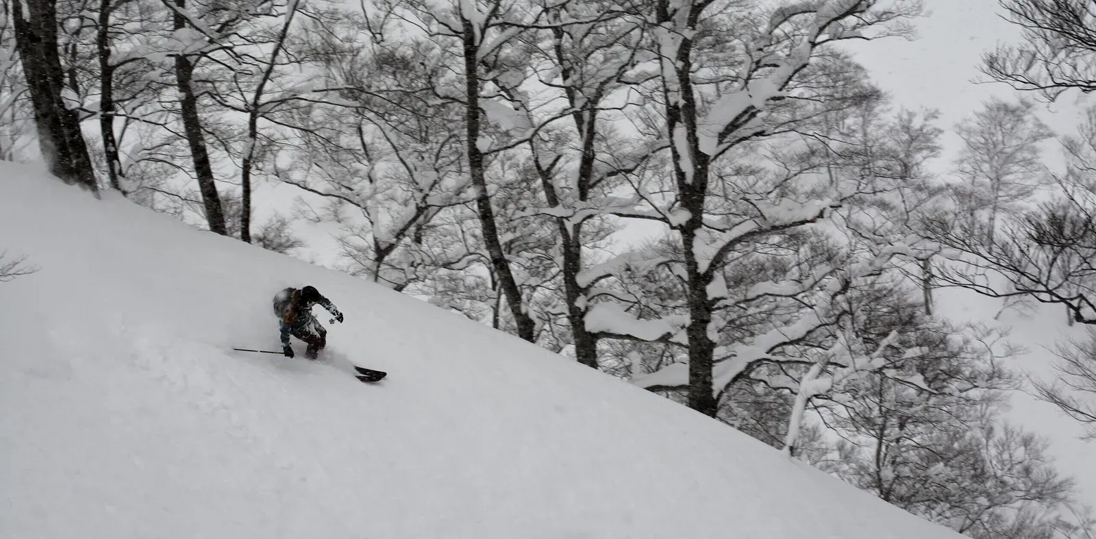 Skier in deep snow among bare trees