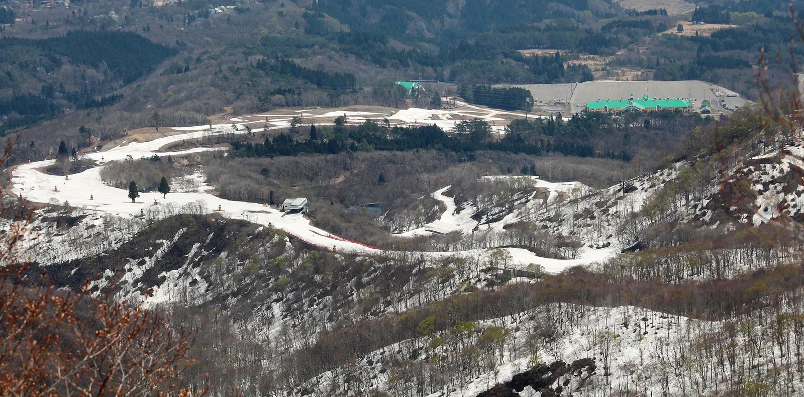 Ski trails through snowy forest