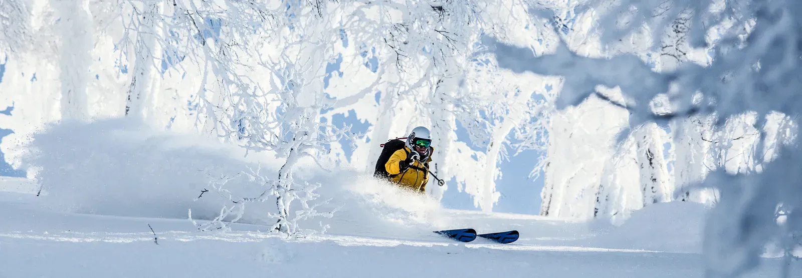 Skier in deep powder