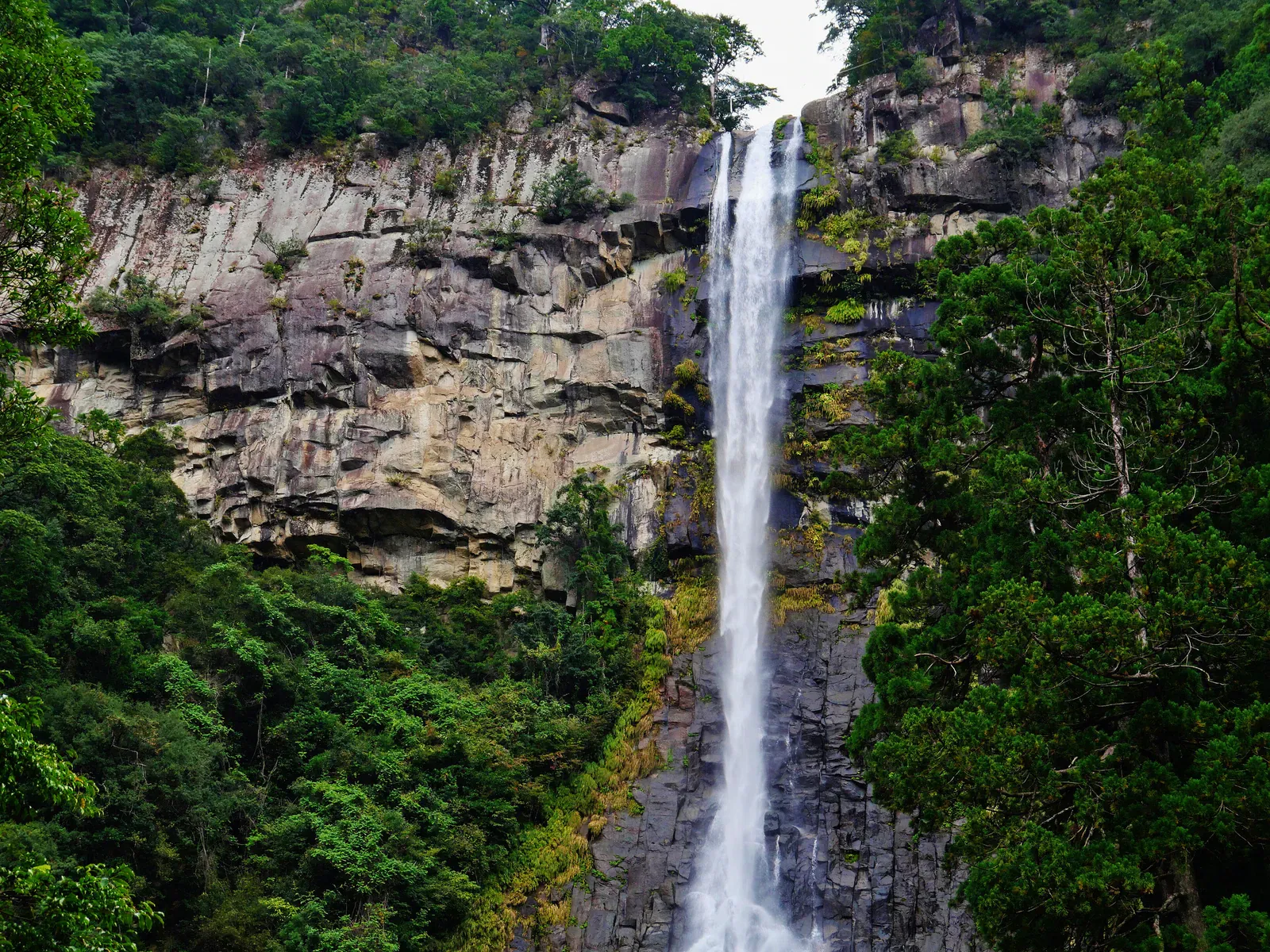 Tall Nachi waterfall dropping down a cliff between green forest slopes