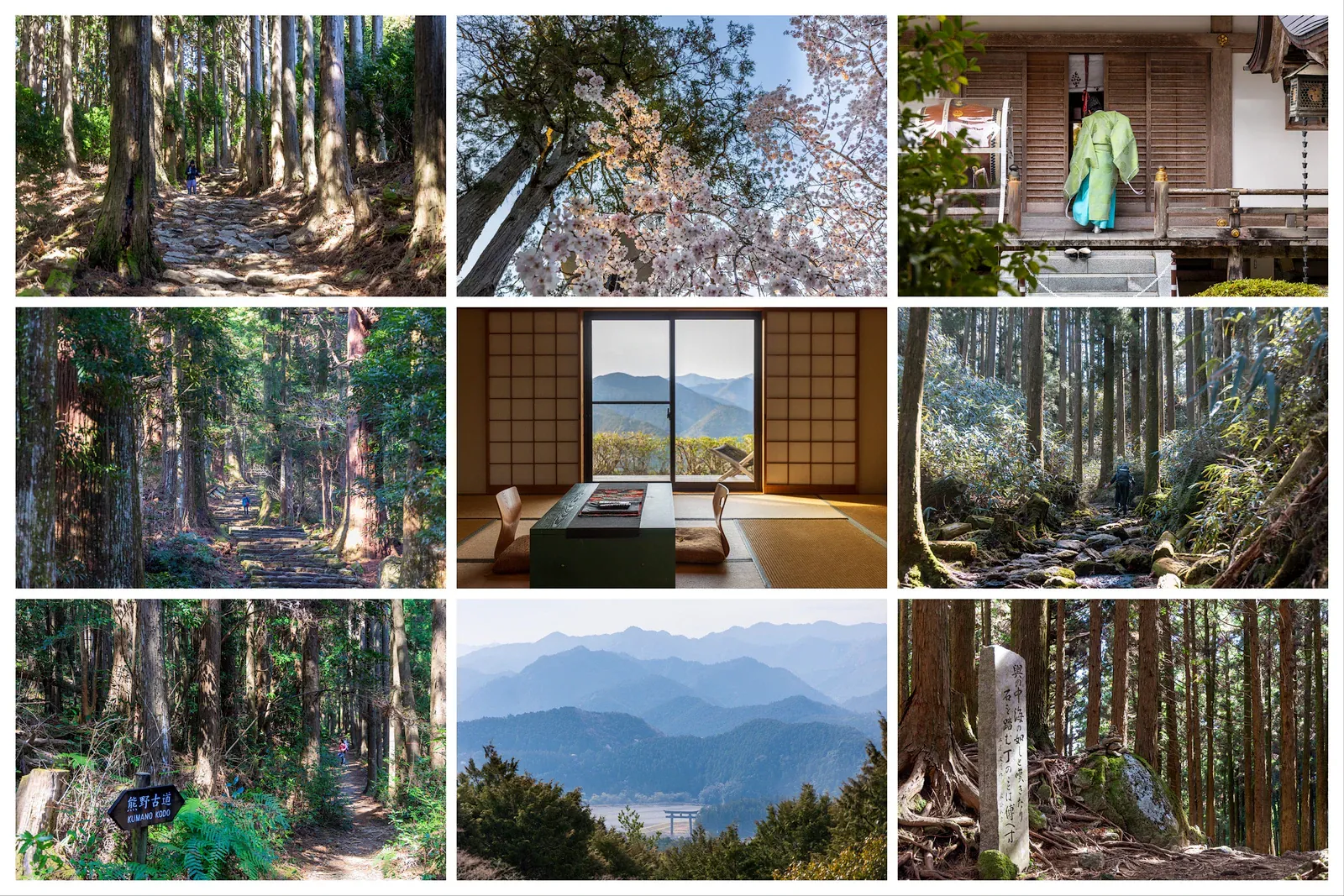 Forest path on the Kumano Kodo pilgrimage route