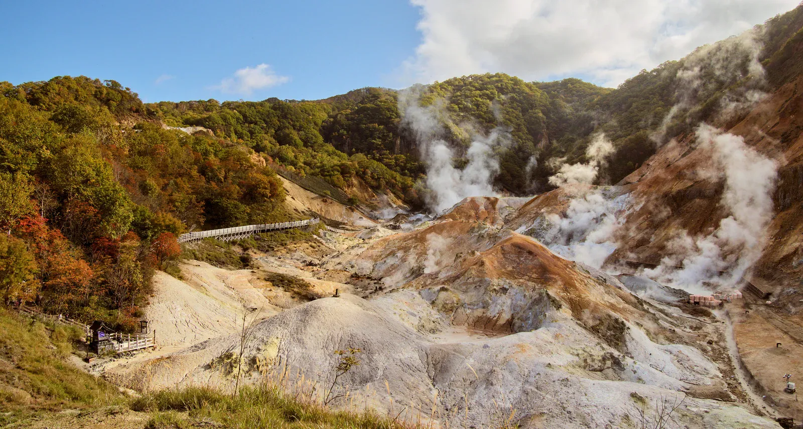 Steam vents rising from Jigokudani valley