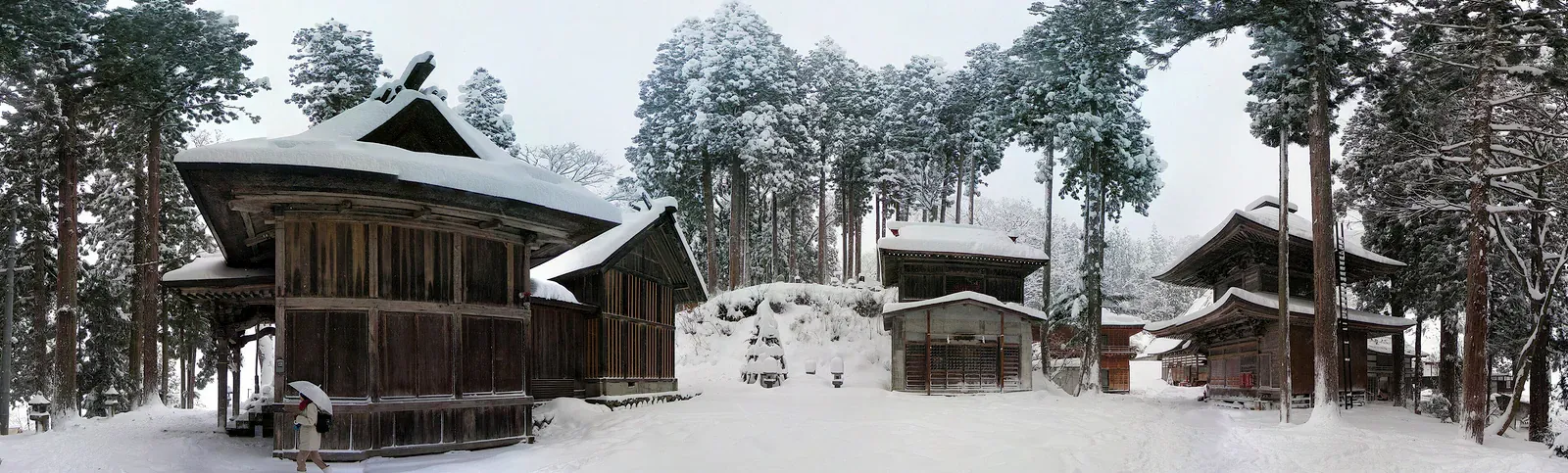 Wooden buildings among snowy cedars in Nozawa Onsen