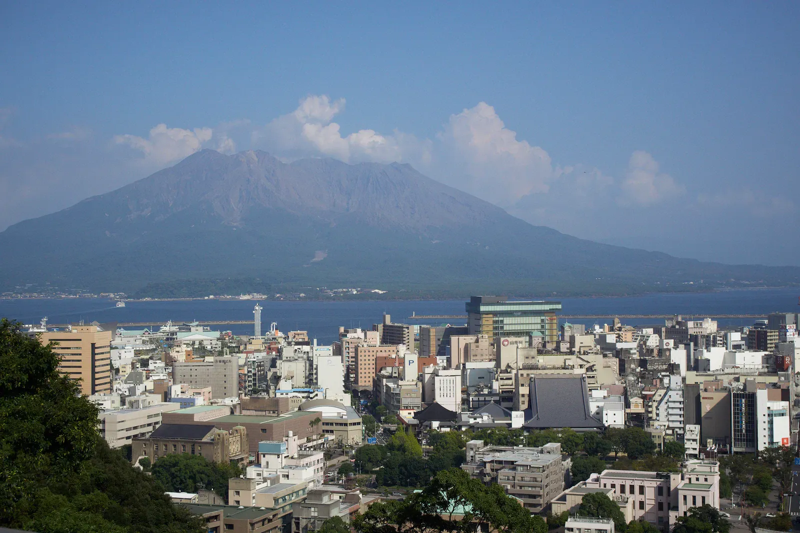 Volcano rising beyond a city skyline in daylight