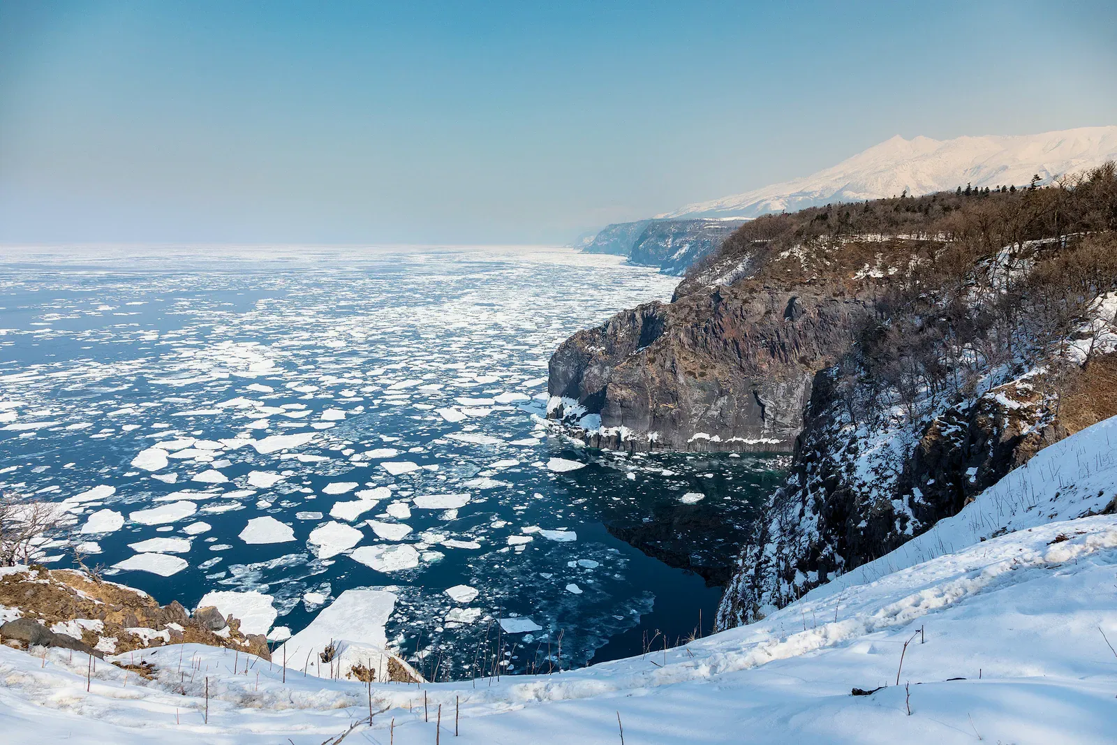 Drift ice floes in dark water below a snowy Shiretoko cliff
