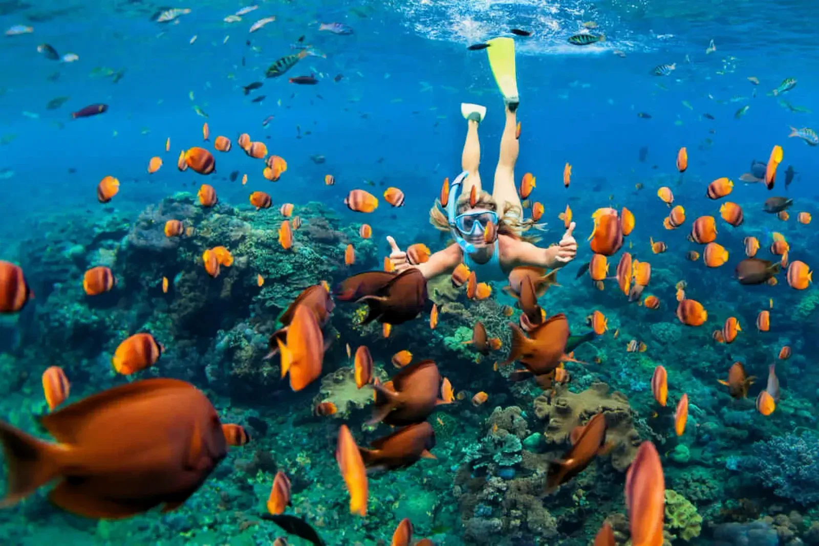 Snorkelling area off the Okinawa coast