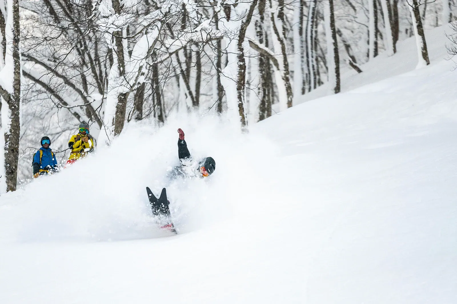 Snowboarders riding a snowy tree run
