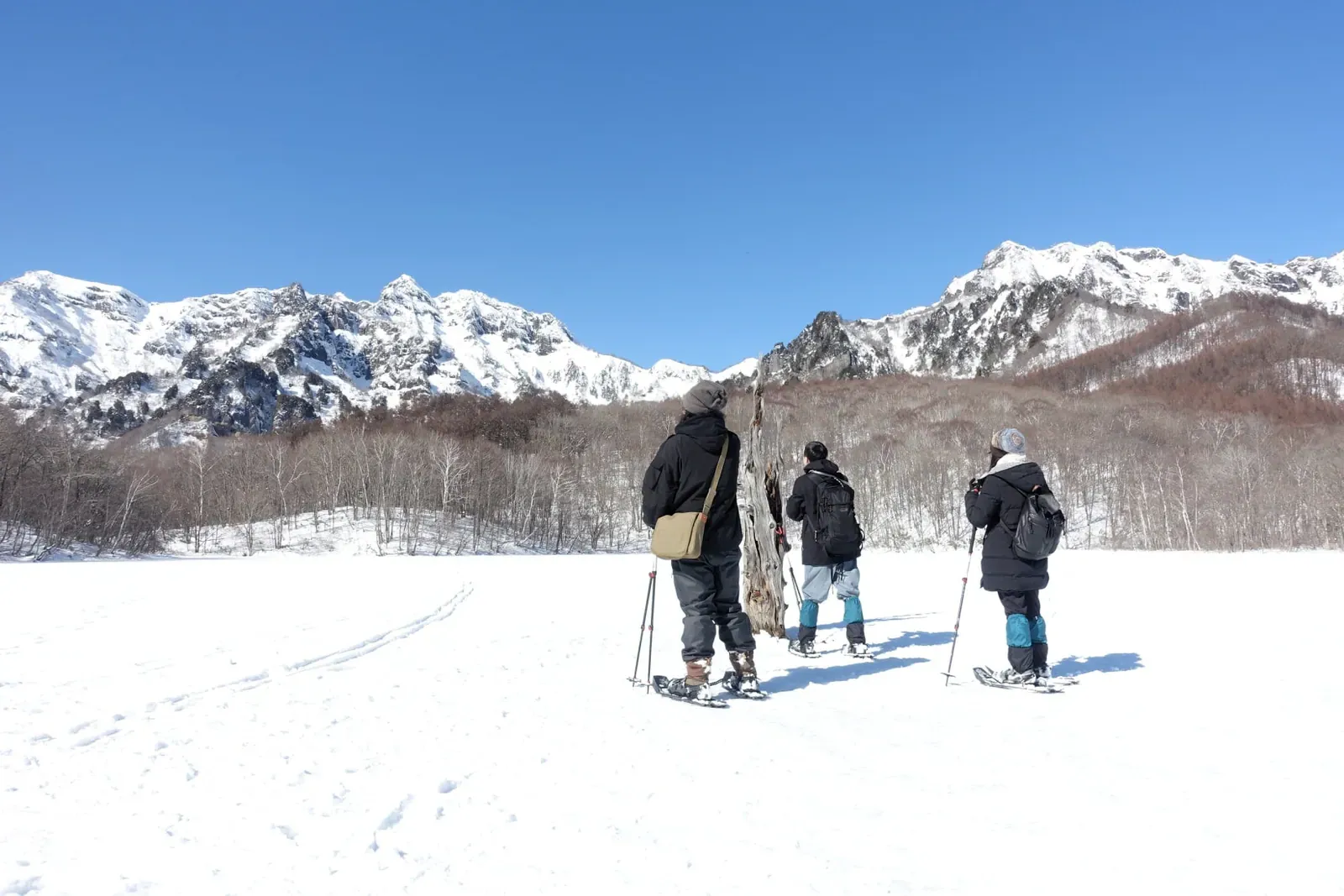 Group of snowshoers crossing a snowfield below white mountain peaks