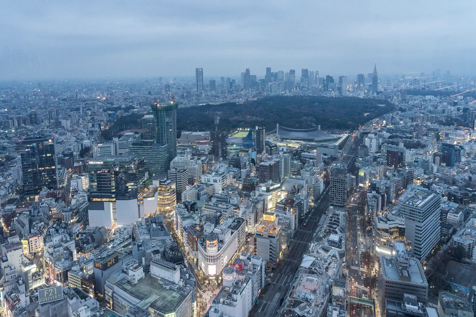Dense Tokyo skyline at dusk with Shinjuku towers in the distance