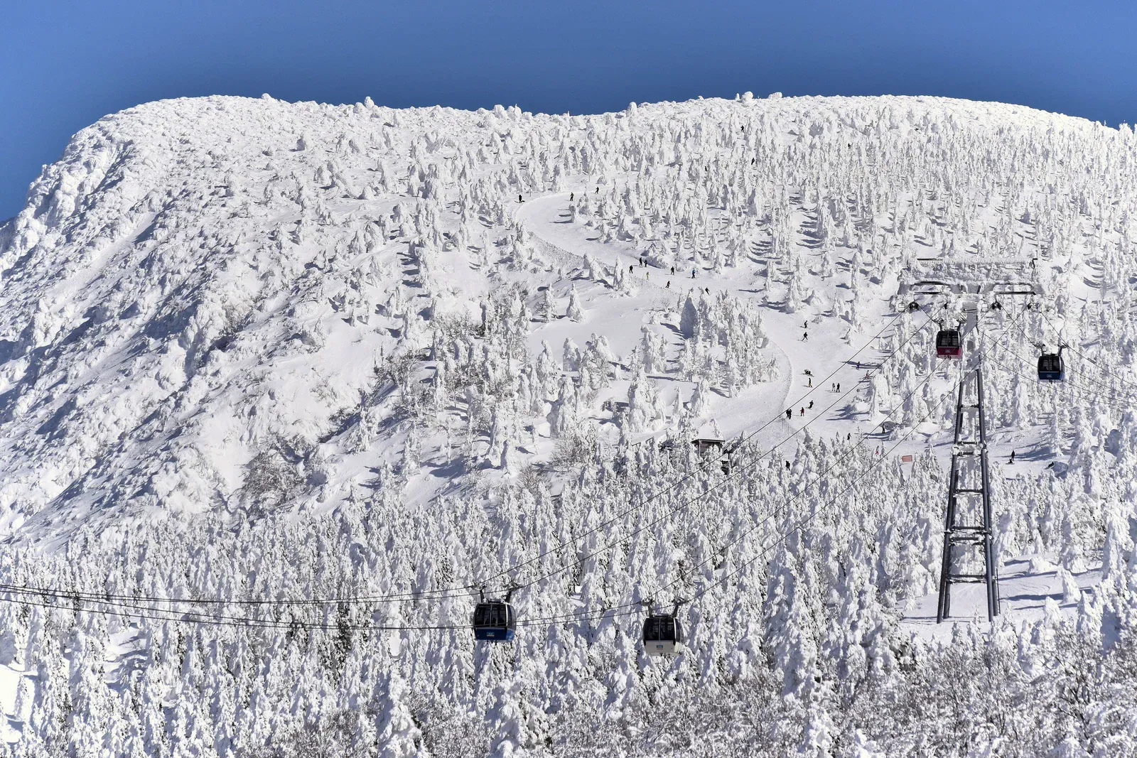 Gondola cabins rising over snow-monster covered slopes at Zao